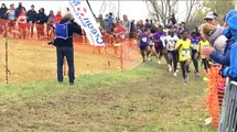 2000 coureurs pour le cross de l'acier de Leffrinckoucke