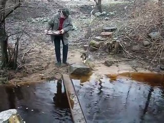 This cat crossing a wet bridge found a BRILLIANT way to keep his paws dry