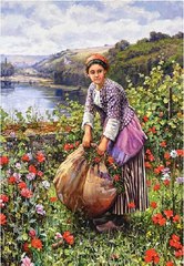 Muchacha sotaquireña- musica campesina Colombiana