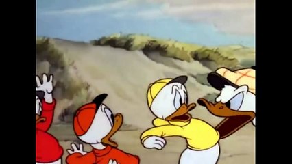 Donal Duck & Chip 'n' Dale Cartoons New Episodes