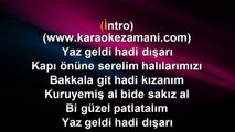 Tarık Mengüç - Sakız (Remix) - 2014 TÜRKÇE KARAOKE