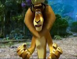 Jangal Da Badsha - Tezabi Totay -lion-funny