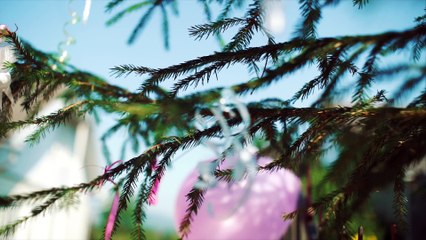 Христина & Андрій :: The Highlights