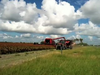 1 Case-IH-2388-Combine-Sorghum-Harvest-MX255-tractor-Unverferth-grain-cart-unloading