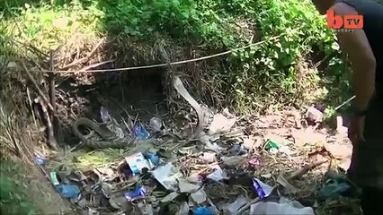 Snake Catchers- Protecting The World's Deadliest Snakes