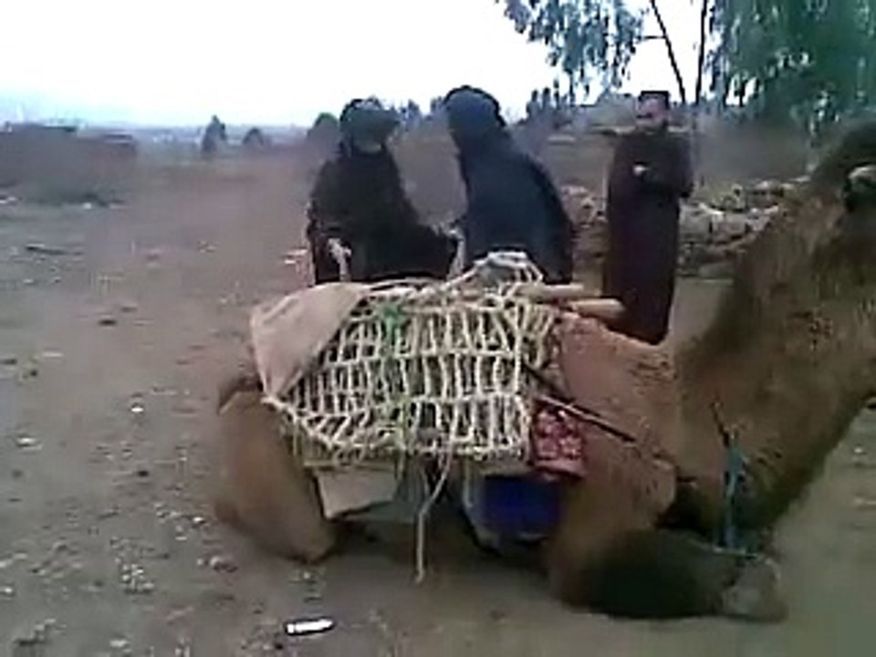 FUNNY VIDEO