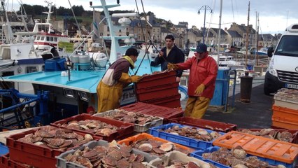 Ouverture en baie de Seine