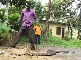 villager man catch a live dangerous cobra snake
