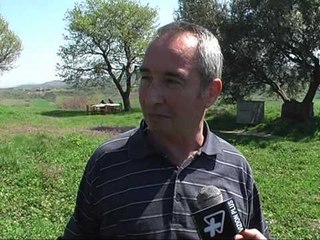 NIS SEZONI TURISTIK APOLONIA MIREPRET TURISTET, RRUGA ENDE E AMORTIZUAR LAJM