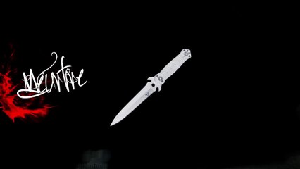 TEASER-FESTIN DES FAUVES 1