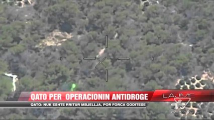 Operacioni kundër kanabisit - News, Lajme - Vizion Plus