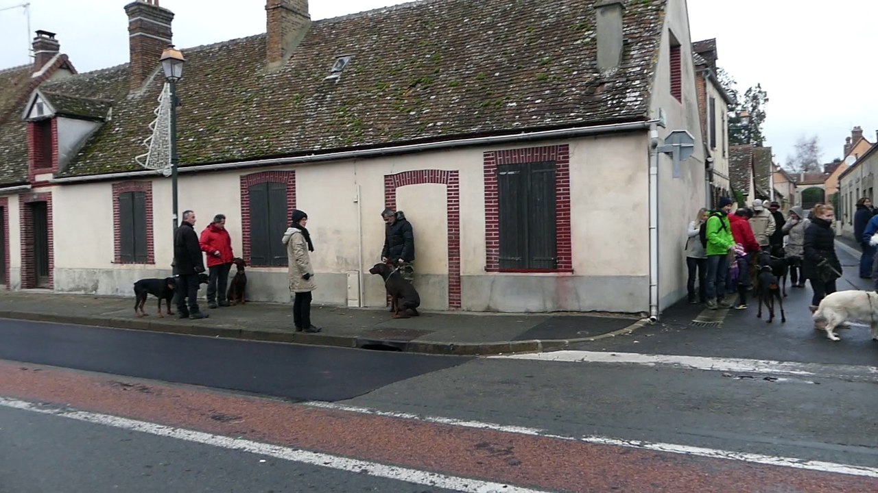 Premières arrivées