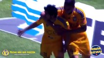 Dorados vs Tigres 1-1 Jornada 2 Clausura 2006 HD - RESUMEN GOLES