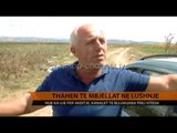 Mungon uji për vaditje, thahen të mbjellat në Lushnje - Top Channel Albania - News - Lajme