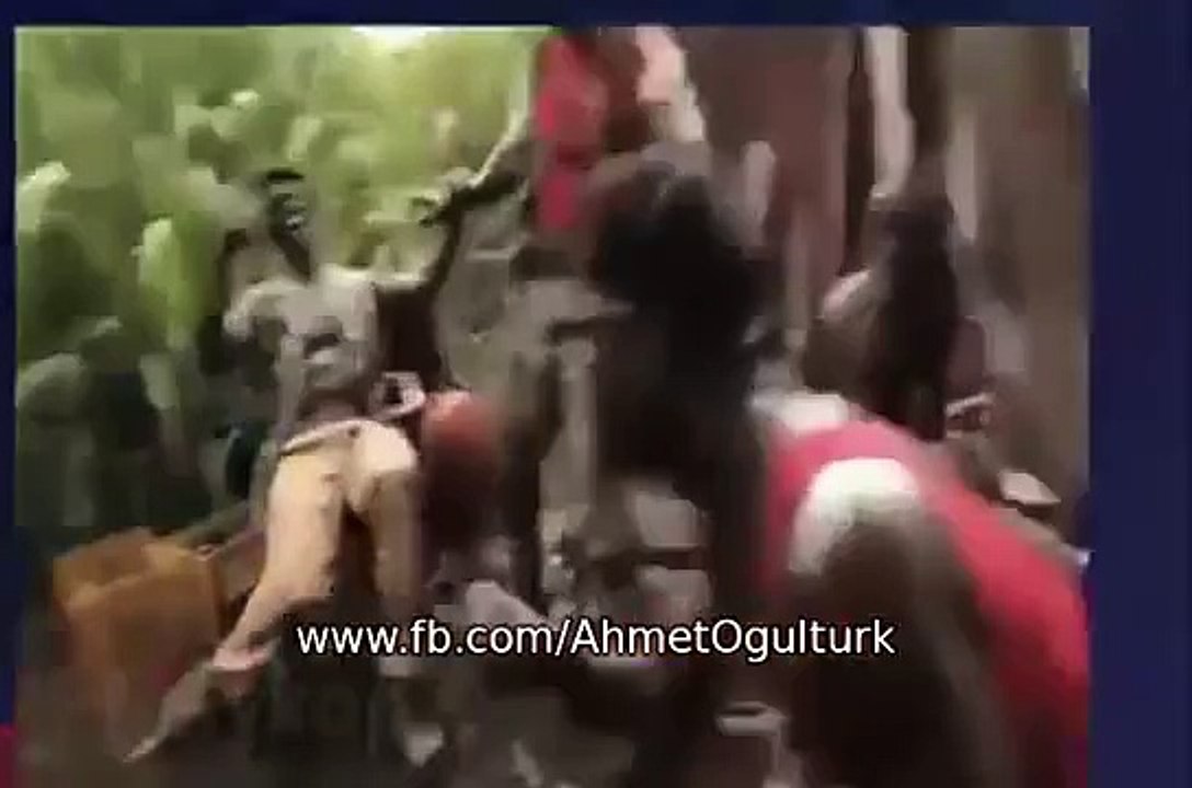 Maymuna Silah Verilirse Olacağı Budur!