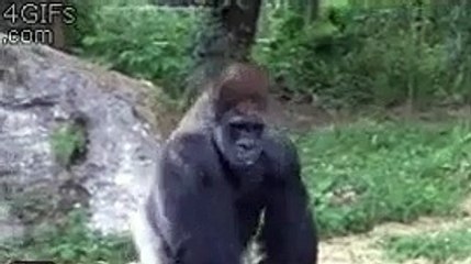 Я .. когда забил телефон дoма (.. When I forgot your phone at home)