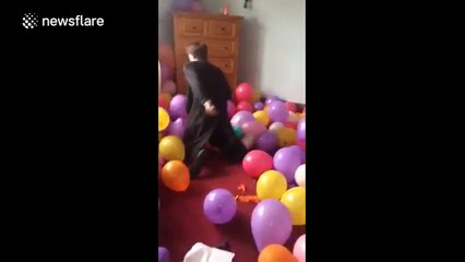 Man goes on balloon-popping frenzy while clearing out theatre exhibit