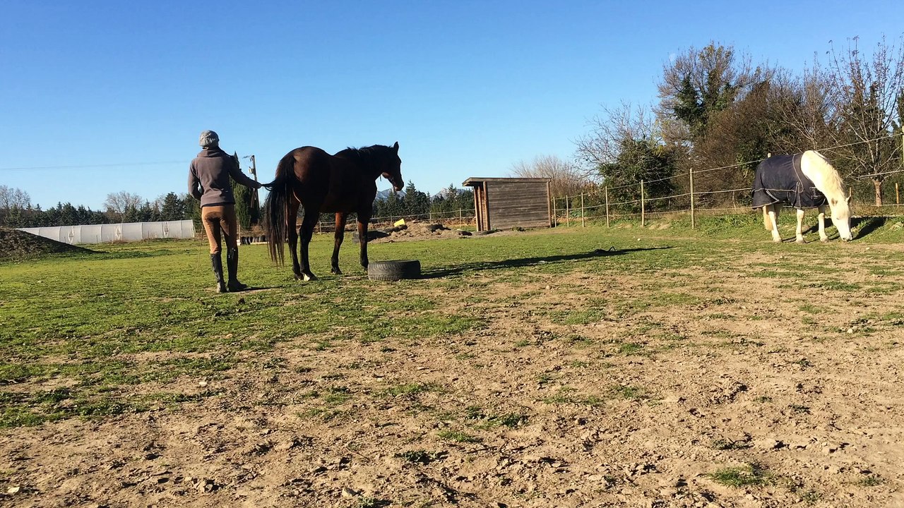 Challenge 5 - Elo et Romagne - Porc Epic extrême