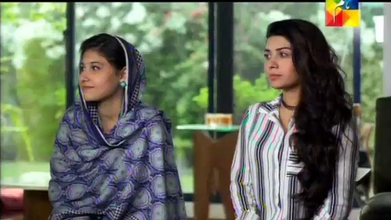 Aik Thi Mishal Episode 23 Full Hum TV Drama 30th November 2015