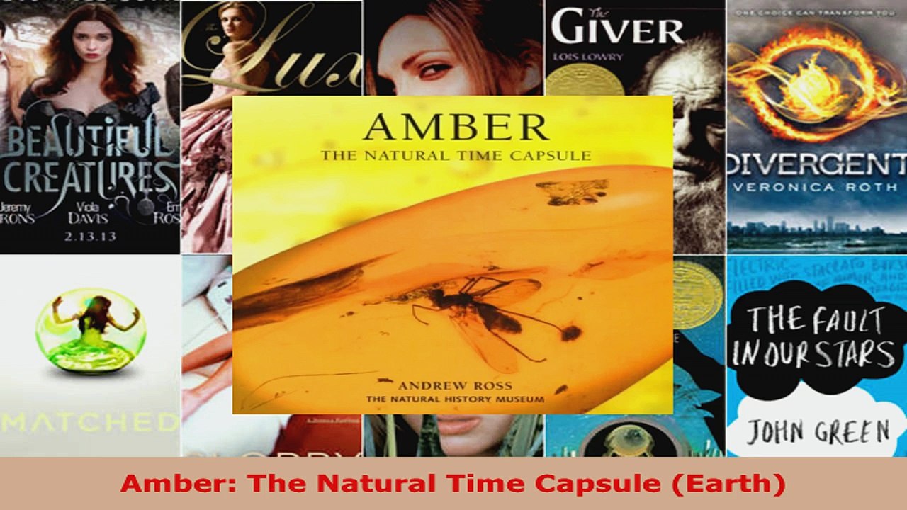 Download  Amber The Natural Time Capsule Earth PDF Free