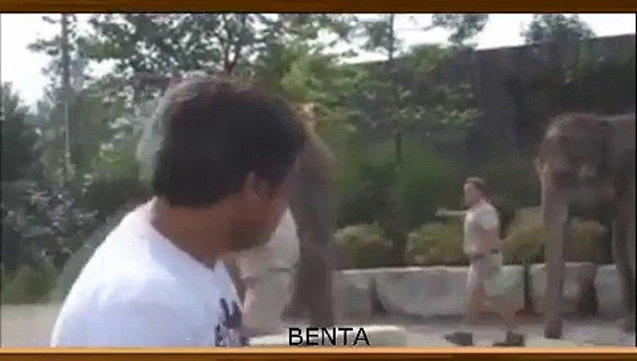 Funny video Compilation 1 December 2015 2016