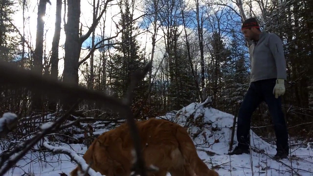 Brothers get a selfie with a bald eagle they freed from a trap