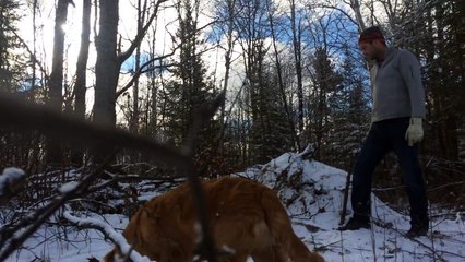 Brothers get a selfie with a bald eagle they freed from a trap
