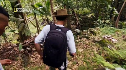 el continente perdido del Pacifico