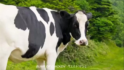 BUMP OF CHICKEN【個人作業用】
