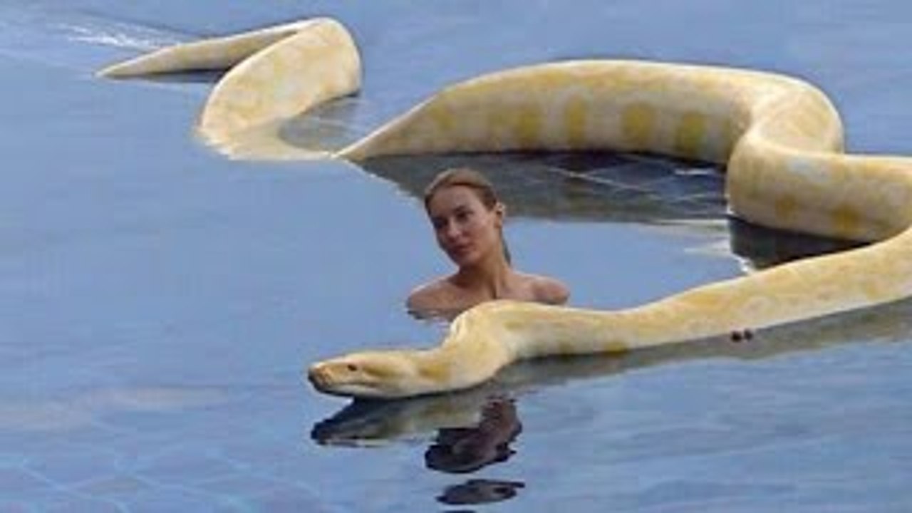 GIANT SNAKE ON EARTH 2016