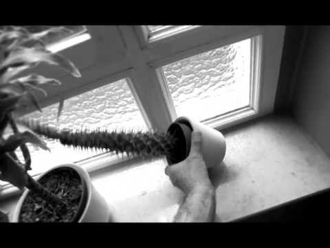 DHUNA NDAJ FEMIJVE SPOTI KUNDER DHUNES NDAJ FEMIJVE SHOKON BOTEN LAJM