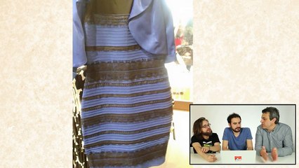 Bu Elbiseyi Neden Farklı Renklerde Görüyoruz?