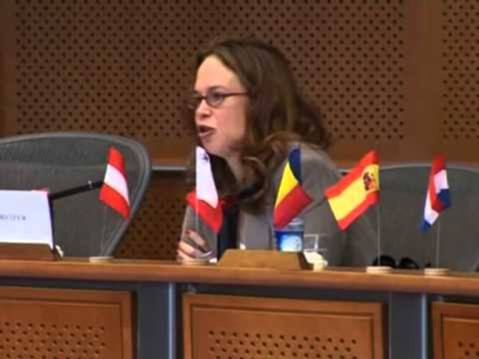GRUPI I KRIZAVE FITUESI NE BAZE TE RREGULLAVE TE MIRATUARA ME PARE LAJM