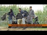 Hungaria ndërton gardhin me tela kundër klandestinëve - Top Channel Albania - News - Lajme