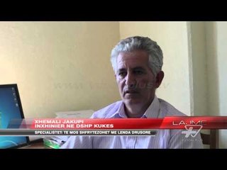 Abuzimi me pyjet në zonën e Kukësit - News, Lajme - Vizion Plus