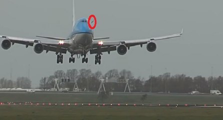 Oiseau vs Boeing 747
