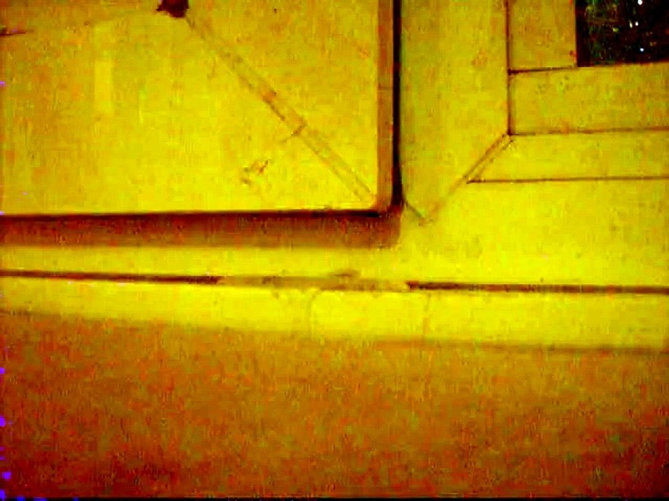 LPIC0975