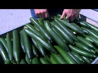 BAKTERI EHEC MJEKET GJERMANE BESOJNE SE RREZIKU PO ULET LAJM