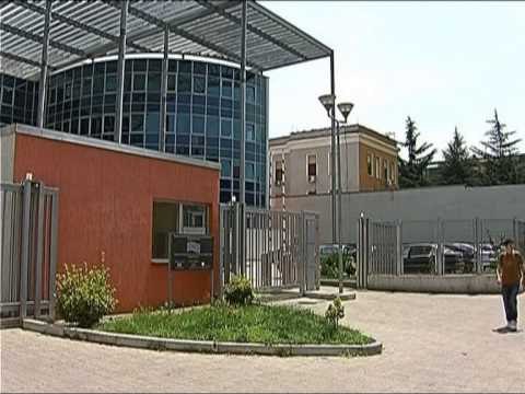 ROSHI KERKON NDJESE KREU I BASHKISE KAVAJE, NDJESE PUBLIKE PER NGJARJEN LAJM