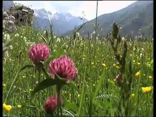 LUGINA E VALBONES VIZITOHET NGA TURISTET NE KATER STINET E VITIT LAJM