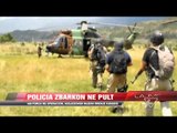 Asgjësohen mijëra rrënjë kanabis në zonën Pult - News, Lajme - Vizion Plus