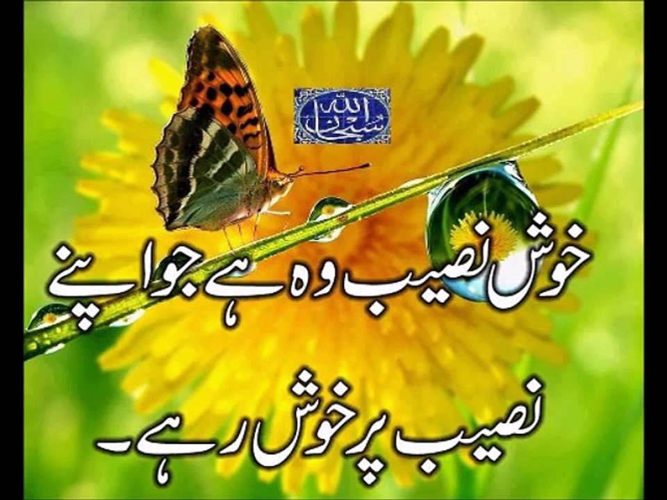 Haj-E-Furaen Bayan.1