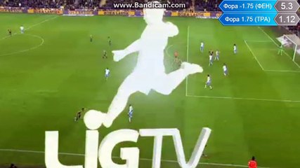 Fenerbahçe SK - Trabzonspor 2-0 Fernandao