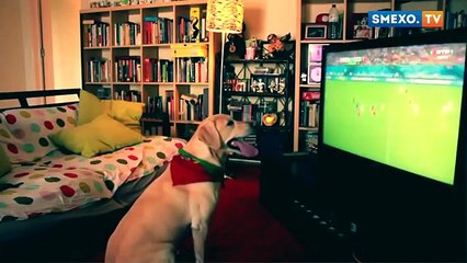 ПРИКОЛ! РЖАЧ!Настоящий фанат футбола)))
