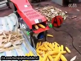 چھلیوں سے چھلکا اُتارنے والی یہ جدید ترین مشین دیکھیے