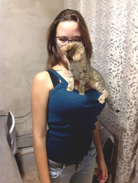 Забавный котик!!!