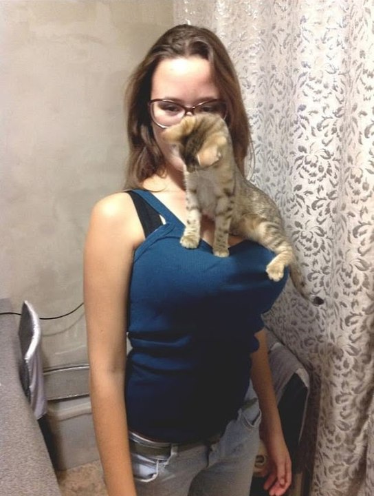 Забавный котик!!!