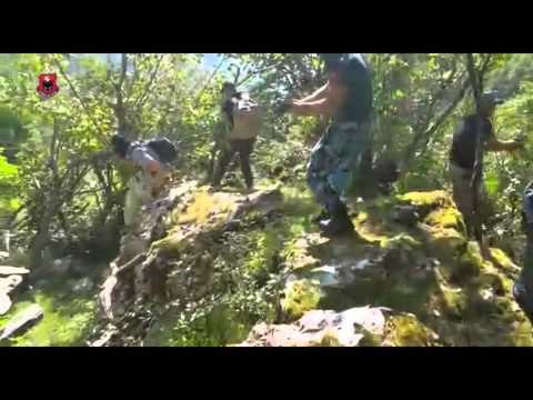 OPERACIONI NE DUKAGJIN, NE DY DITE AGJESOHEN 74 MIJE RRENJE KANABIS