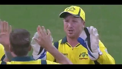 cricket high-five fail funny clips  whatsapp funny videos 2016 2015 #whatsapp @whatsapp