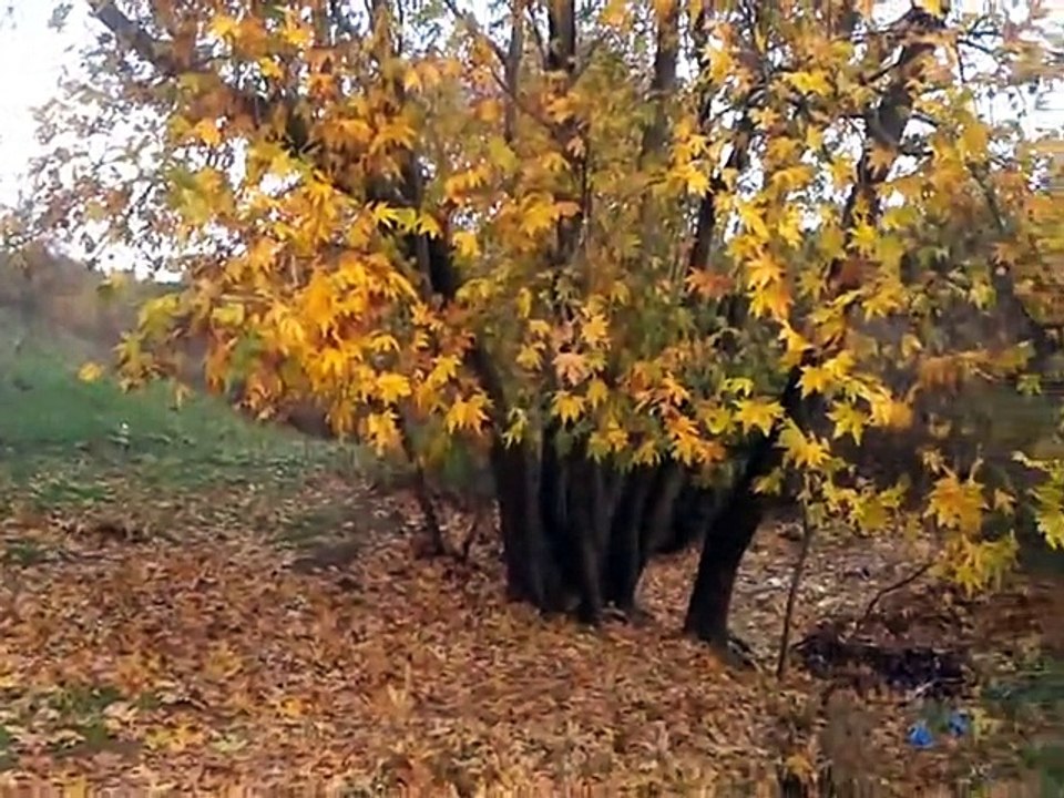 YILDIZ KÖYÜ-biraz gezelim-SONBAHARIN SON GÜNLERİ